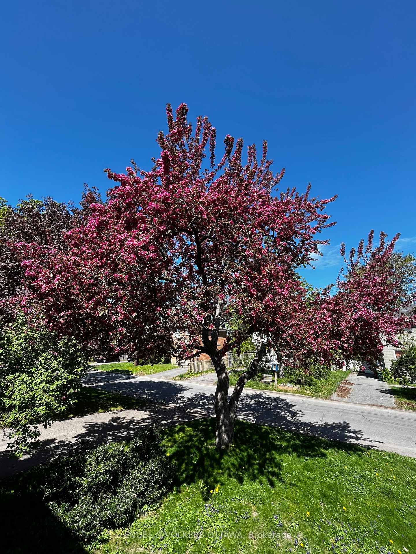 Photo 5 of 1180 Emperor Avenue, Ottawa, Carlington — HOMEH
