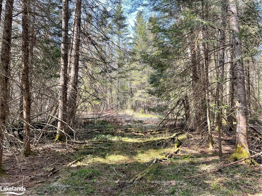 Photo 11 of Trudgeons Road, Joly — HOMEH