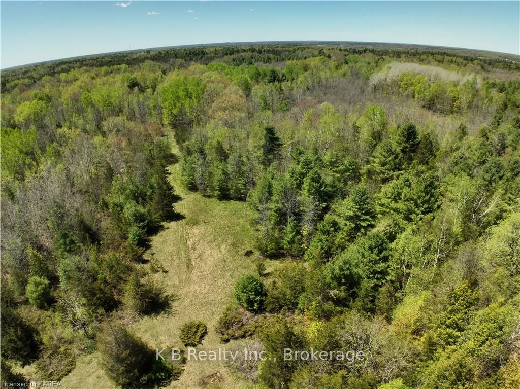 Photo 9 of 291 Barrett Road, Stirling-Rawdon, Rawdon Ward — HOMEH