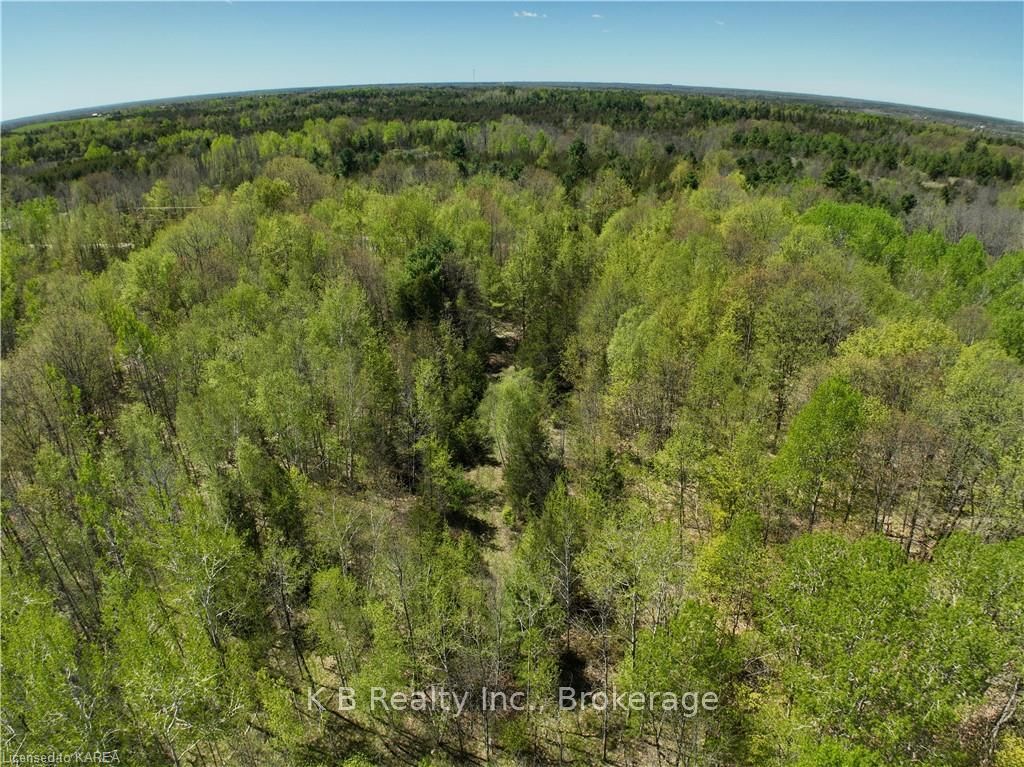 Photo 11 of 291 Barrett Road, Stirling-Rawdon, Rawdon Ward — HOMEH