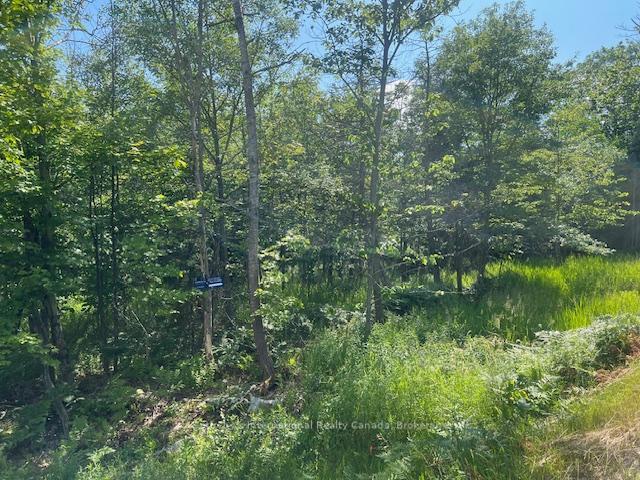 Photo 6 of 126 Highway 559, Carling — HOMEH
