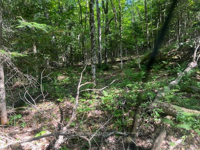 Photo 8 of 126 Highway 559, Carling — HOMEH