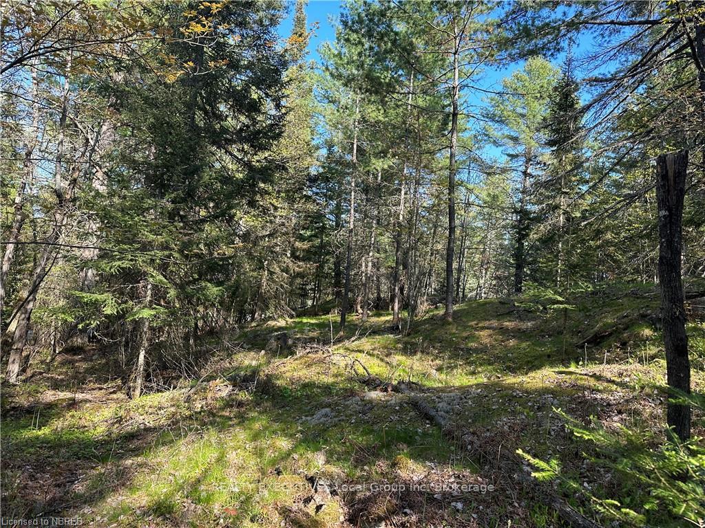 Photo 4 of PART 2 Lighthouse Road, Callander — HOMEH
