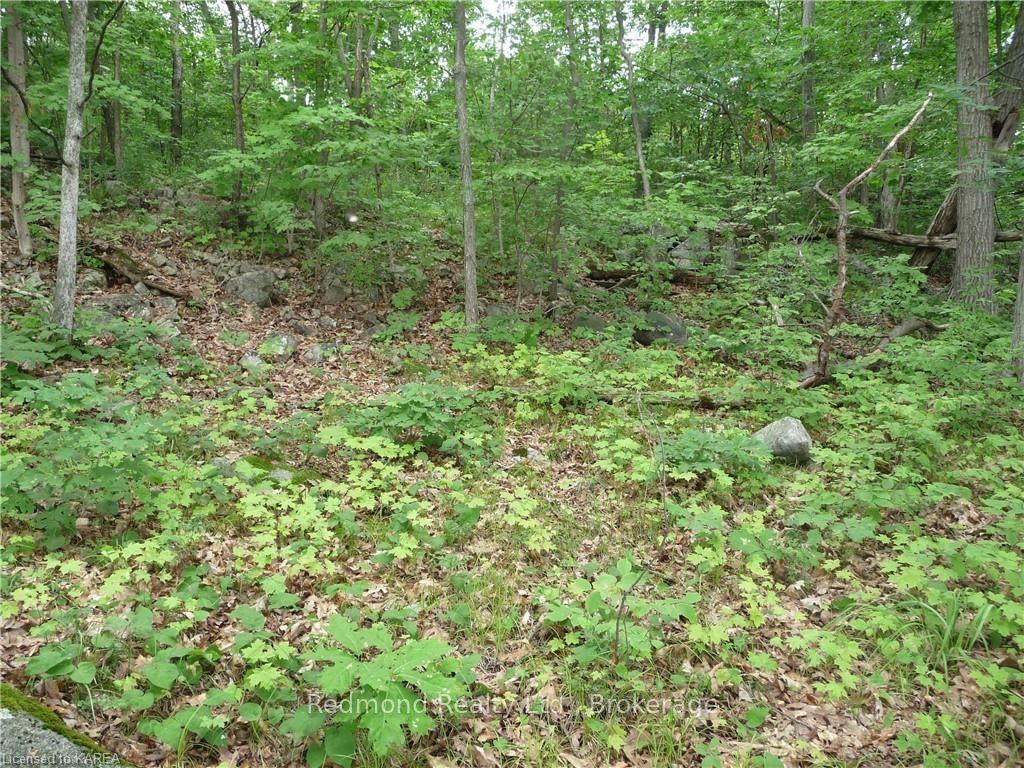 Photo 10 of Prince Regent, Frontenac Islands, The Islands — HOMEH