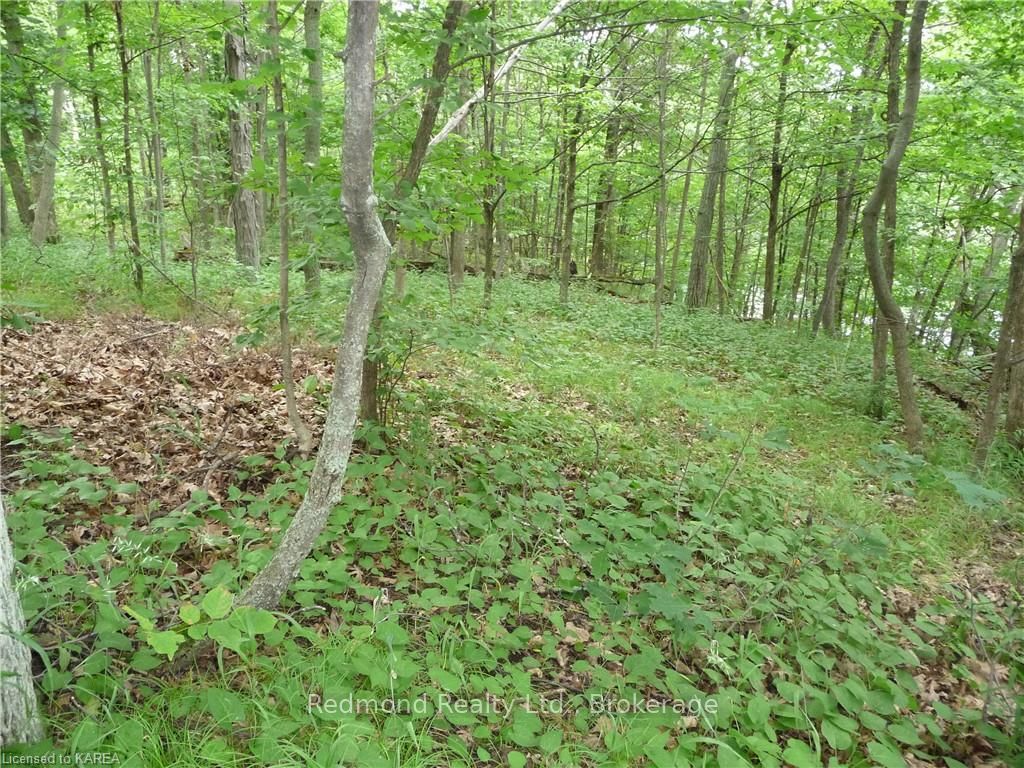 Photo 11 of Prince Regent, Frontenac Islands, The Islands — HOMEH