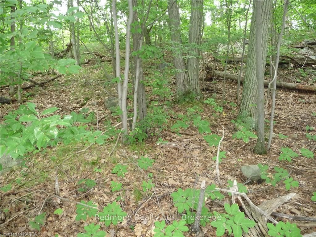 Photo 12 of Prince Regent, Frontenac Islands, The Islands — HOMEH