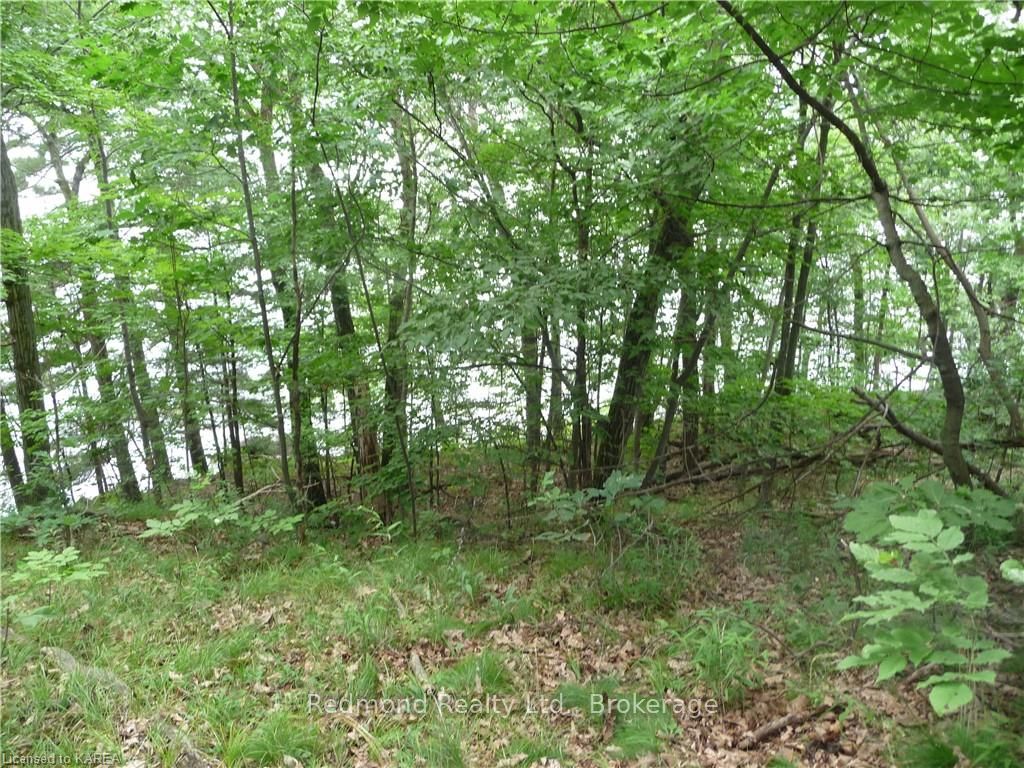 Photo 14 of Prince Regent, Frontenac Islands, The Islands — HOMEH