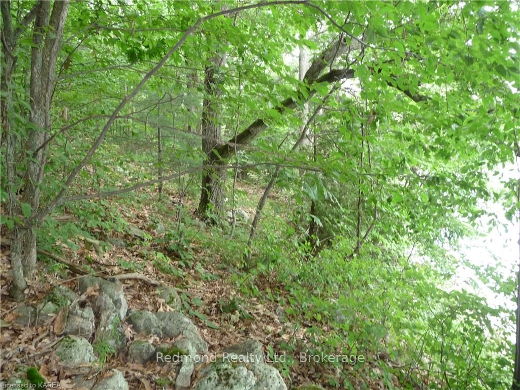 Photo 18 of Prince Regent, Frontenac Islands, The Islands — HOMEH
