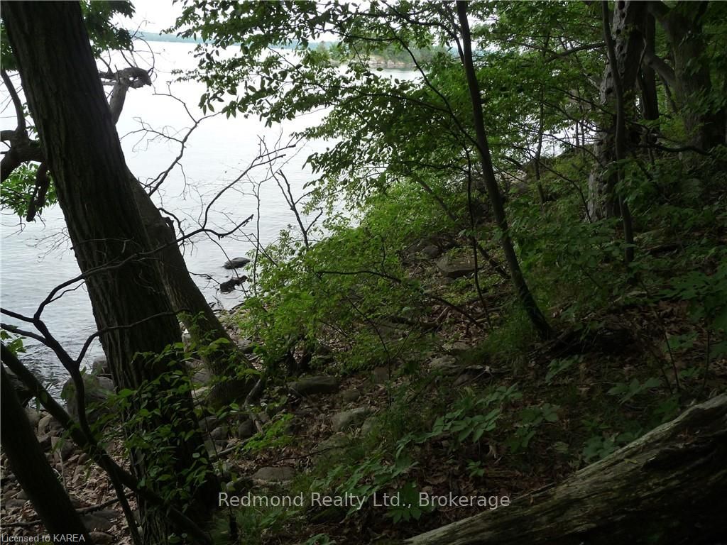 Photo 19 of Prince Regent, Frontenac Islands, The Islands — HOMEH