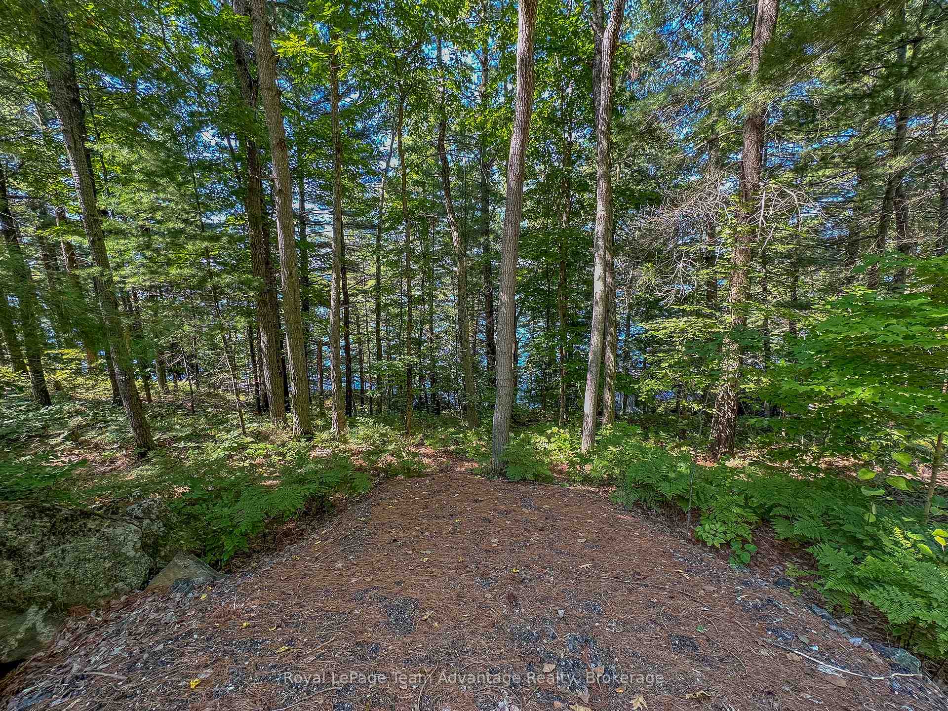 Photo 26 of 59 Mill Lake W/A, McDougall — HOMEH