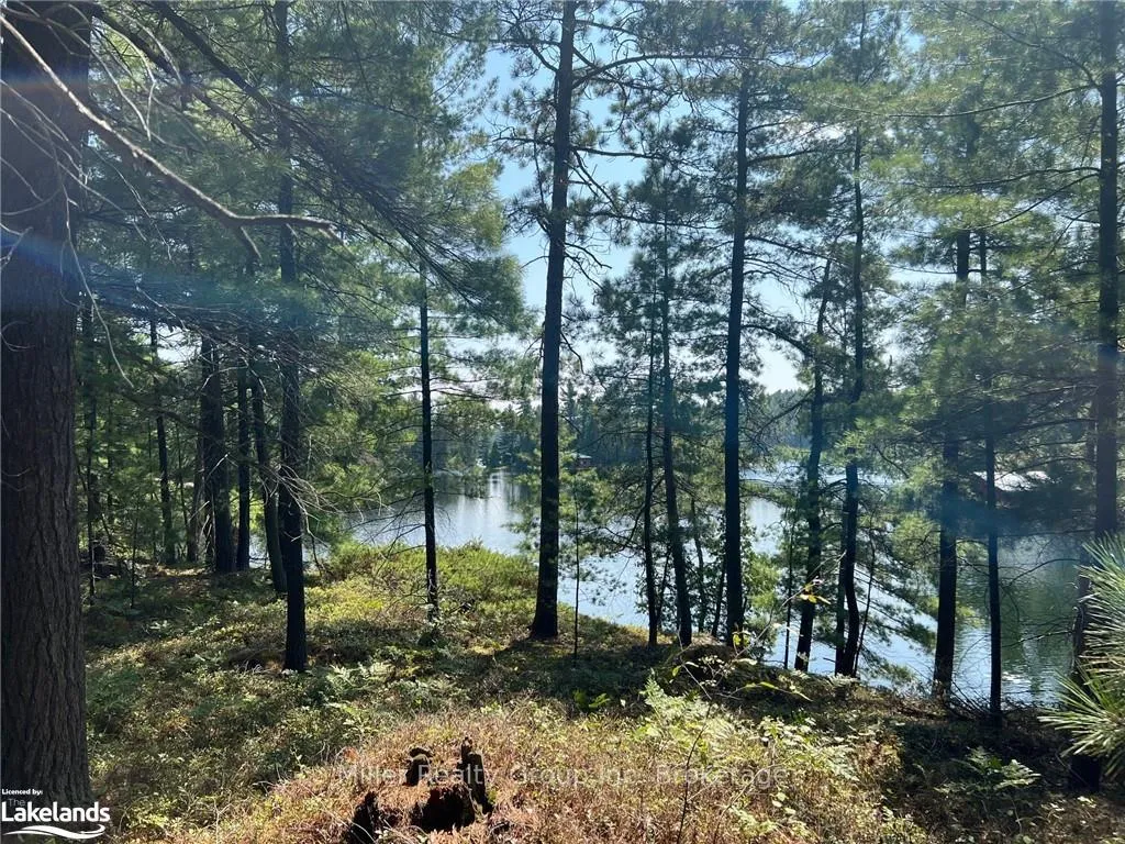 Photo 11 of 1093 Lake Temagami Part 25, Temagami — HOMEH
