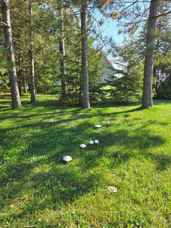 Photo 48 of 881278 Hwy 65 E, Temiskaming Shores, New Liskeard — HOMEH