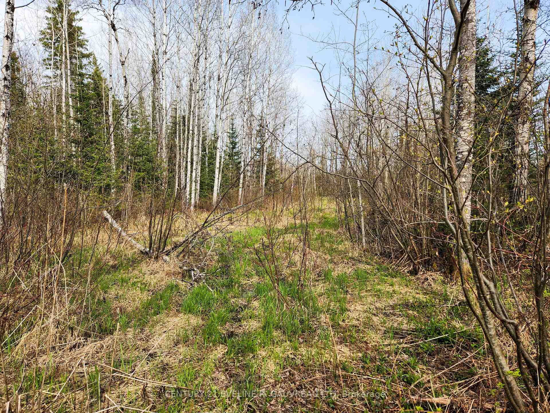 Photo 2 of N1/2 LT 9 Con 1, Englehart, Central Timiskaming — HOMEH