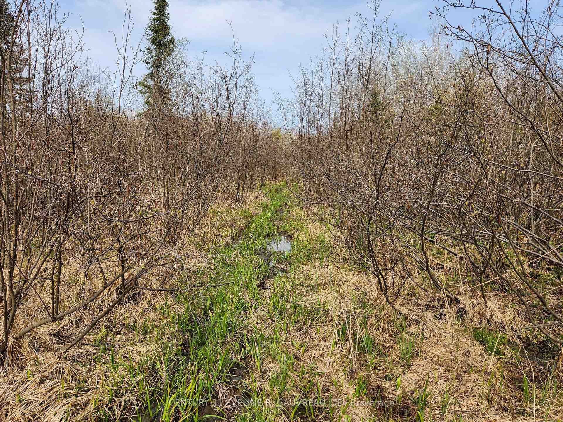 Photo 3 of N1/2 LT 9 Con 1, Englehart, Central Timiskaming — HOMEH