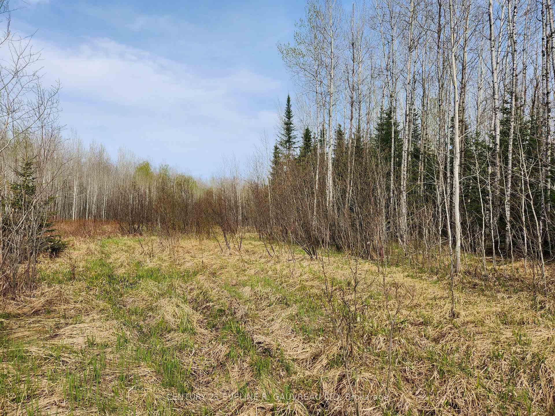 Photo 4 of N1/2 LT 9 Con 1, Englehart, Central Timiskaming — HOMEH