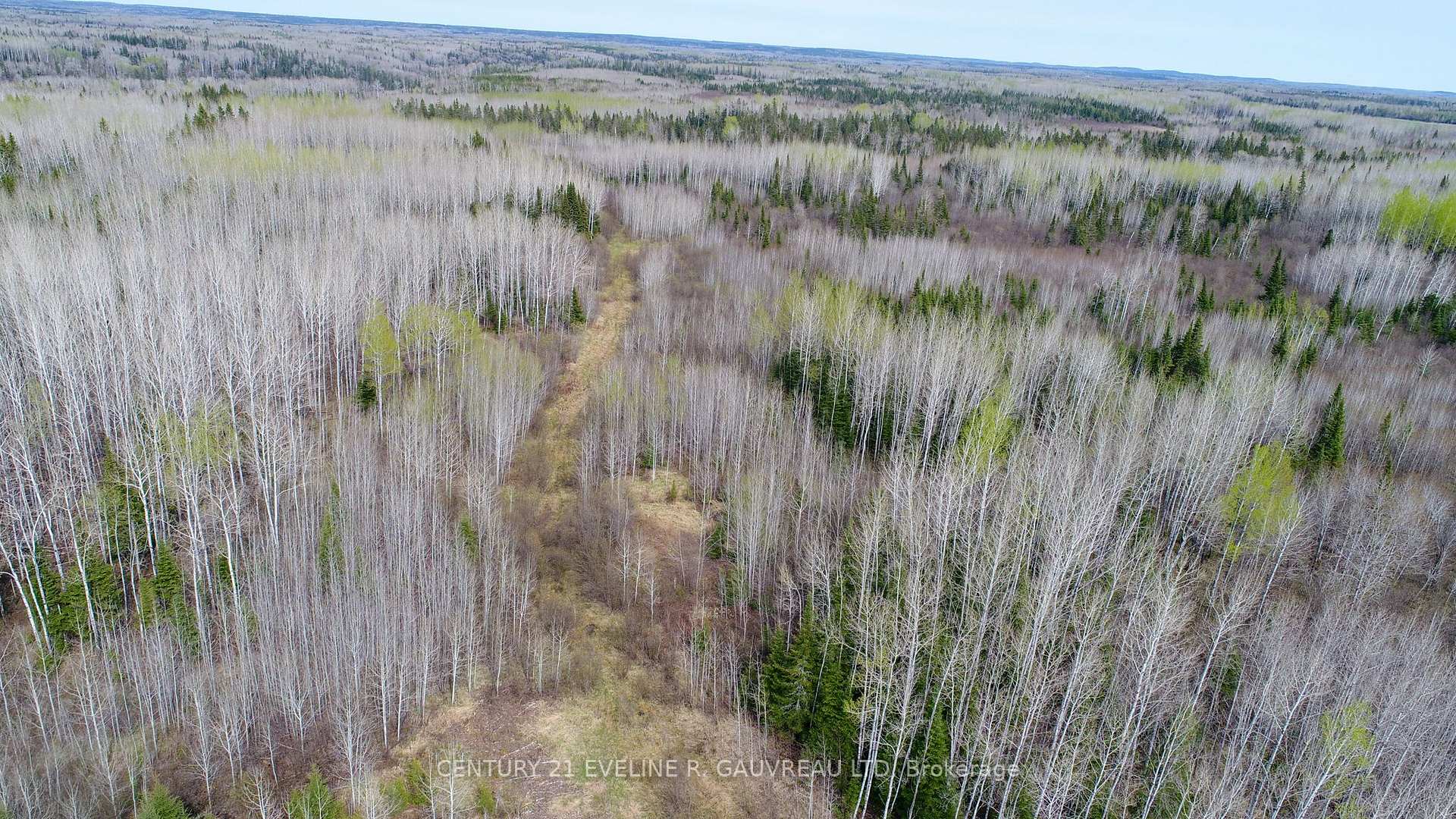 Photo 5 of N1/2 LT 9 Con 1, Englehart, Central Timiskaming — HOMEH
