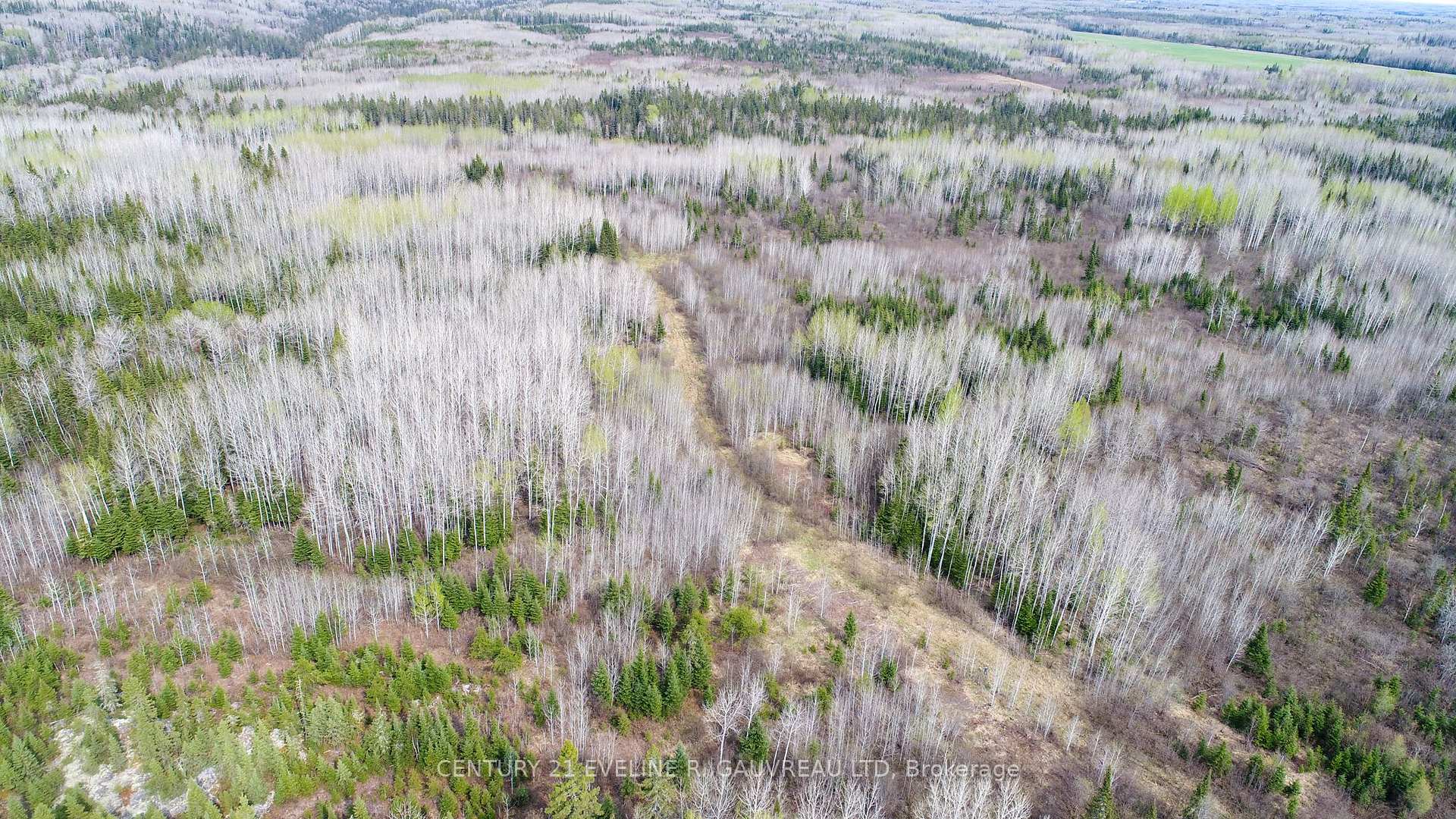 Photo 6 of N1/2 LT 9 Con 1, Englehart, Central Timiskaming — HOMEH