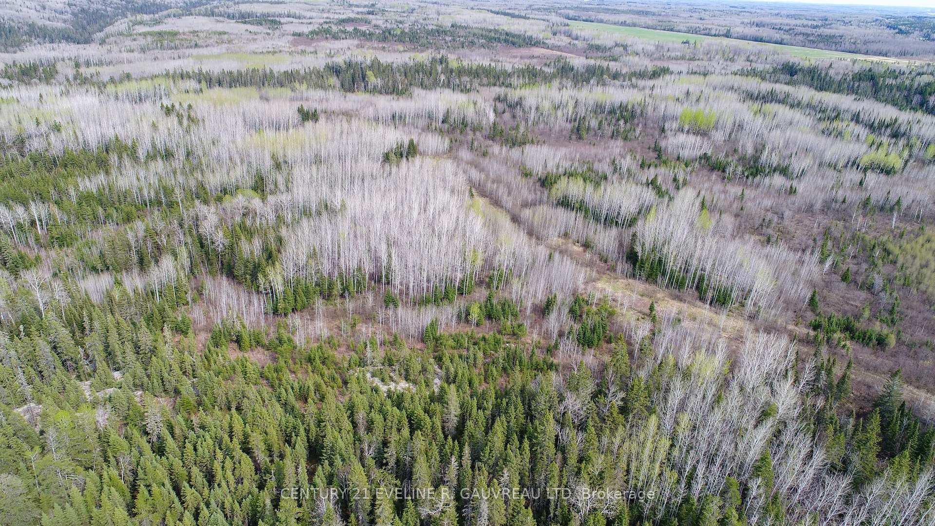 Photo 7 of N1/2 LT 9 Con 1, Englehart, Central Timiskaming — HOMEH