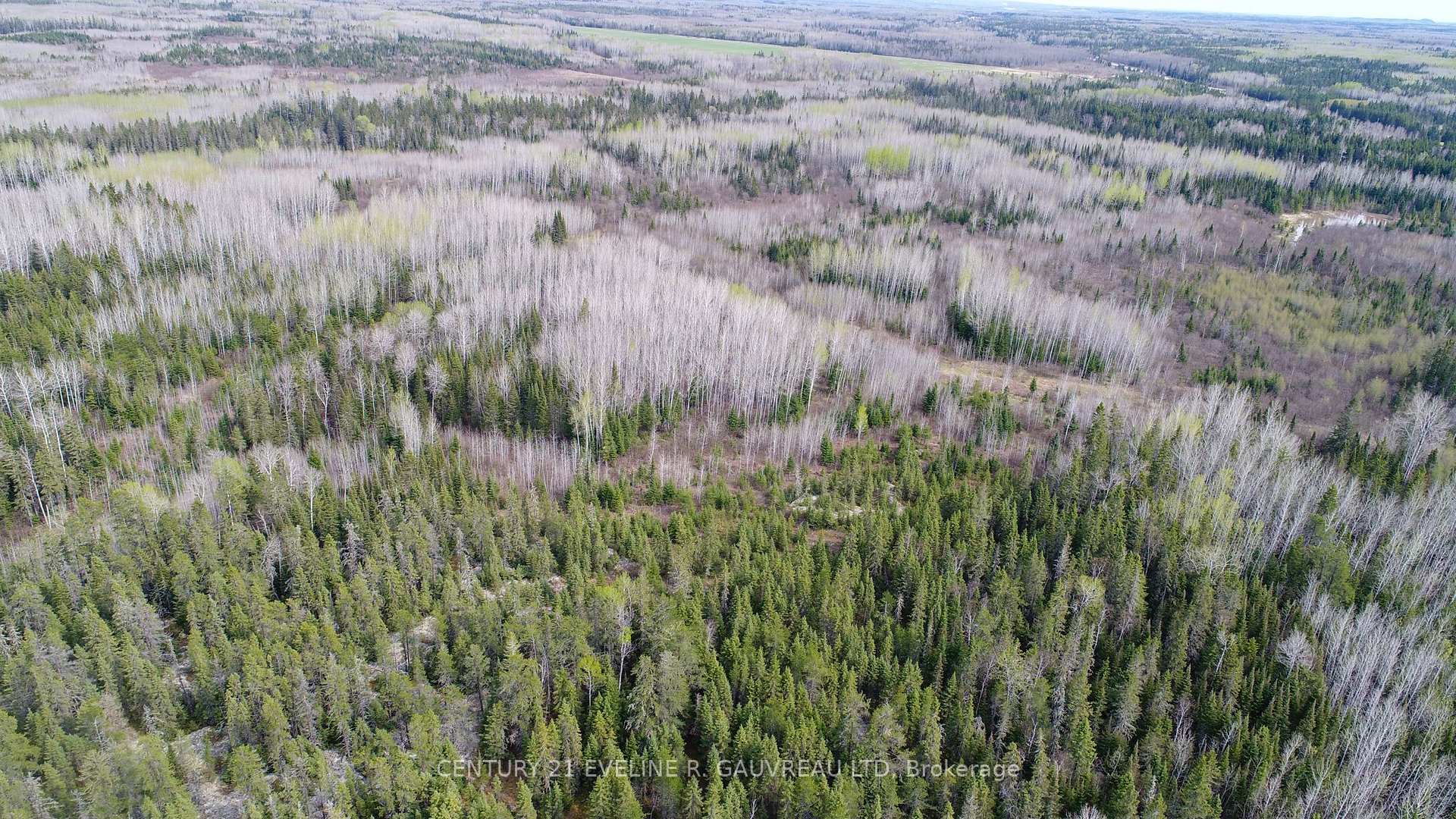Photo 8 of N1/2 LT 9 Con 1, Englehart, Central Timiskaming — HOMEH
