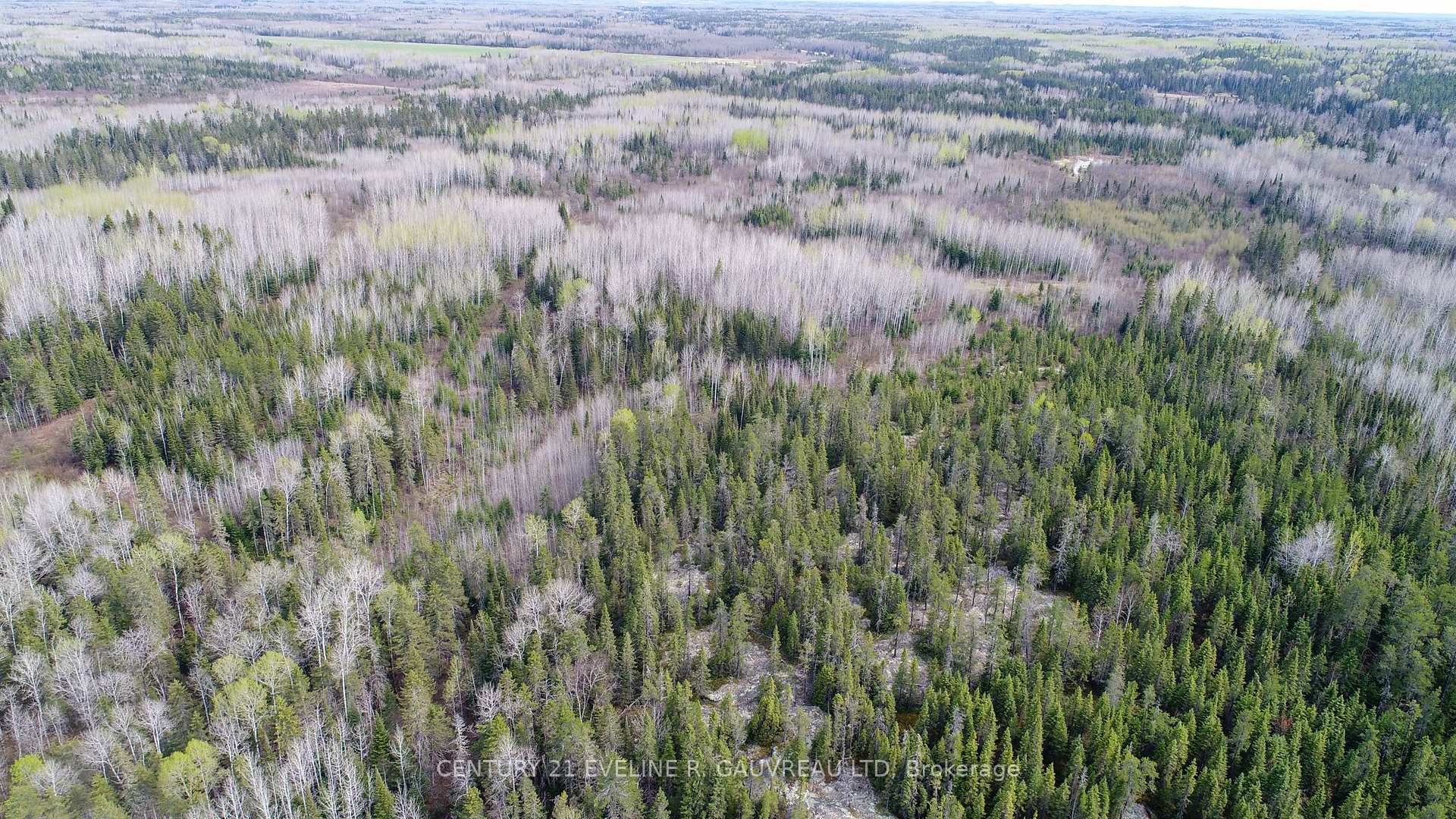 Photo 10 of N1/2 LT 9 Con 1, Englehart, Central Timiskaming — HOMEH