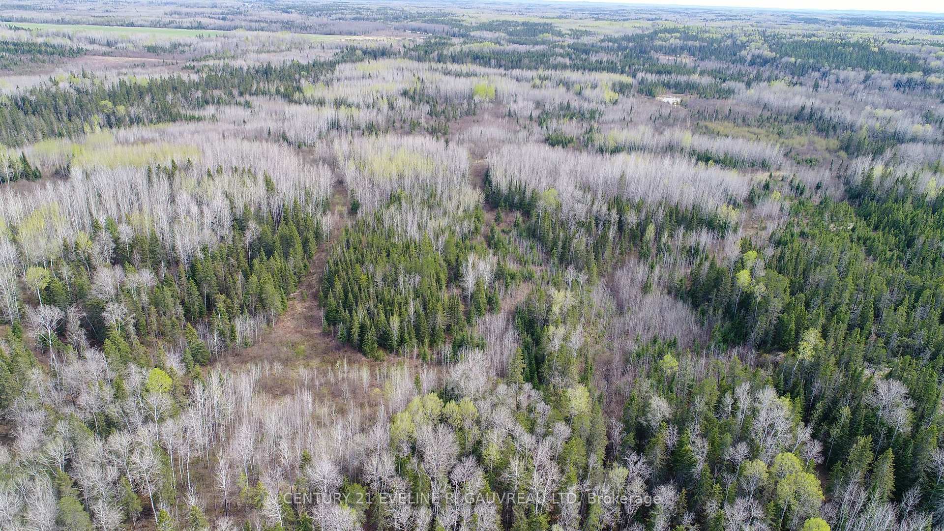 Photo 11 of N1/2 LT 9 Con 1, Englehart, Central Timiskaming — HOMEH