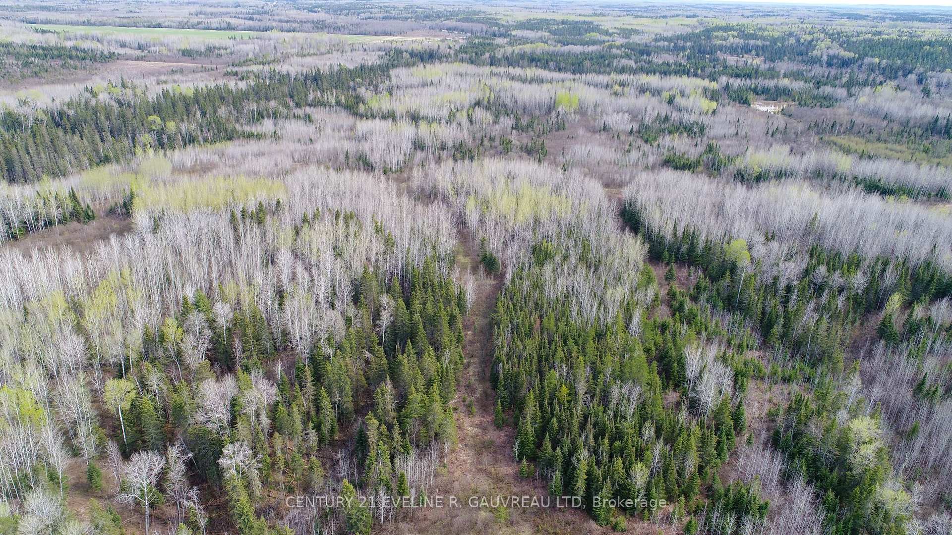 Photo 12 of N1/2 LT 9 Con 1, Englehart, Central Timiskaming — HOMEH
