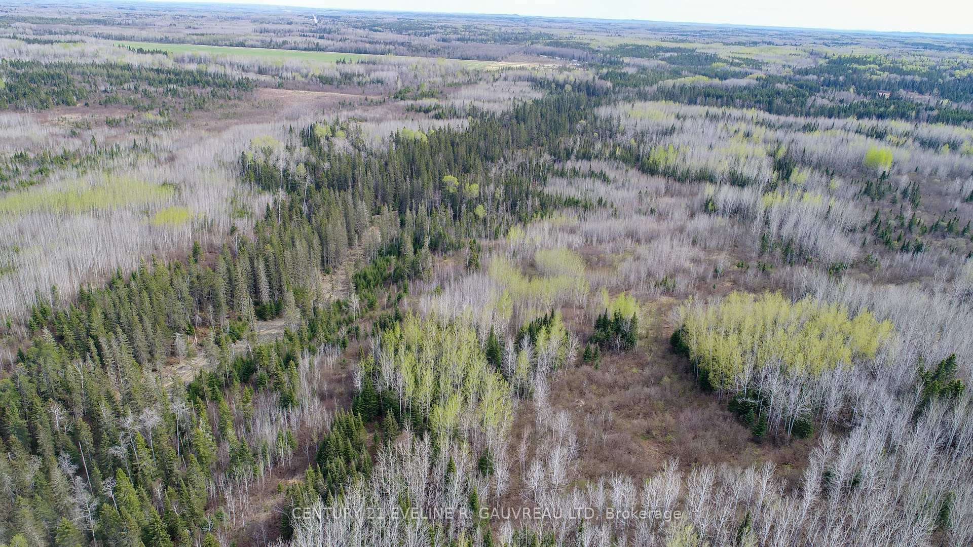 Photo 13 of N1/2 LT 9 Con 1, Englehart, Central Timiskaming — HOMEH