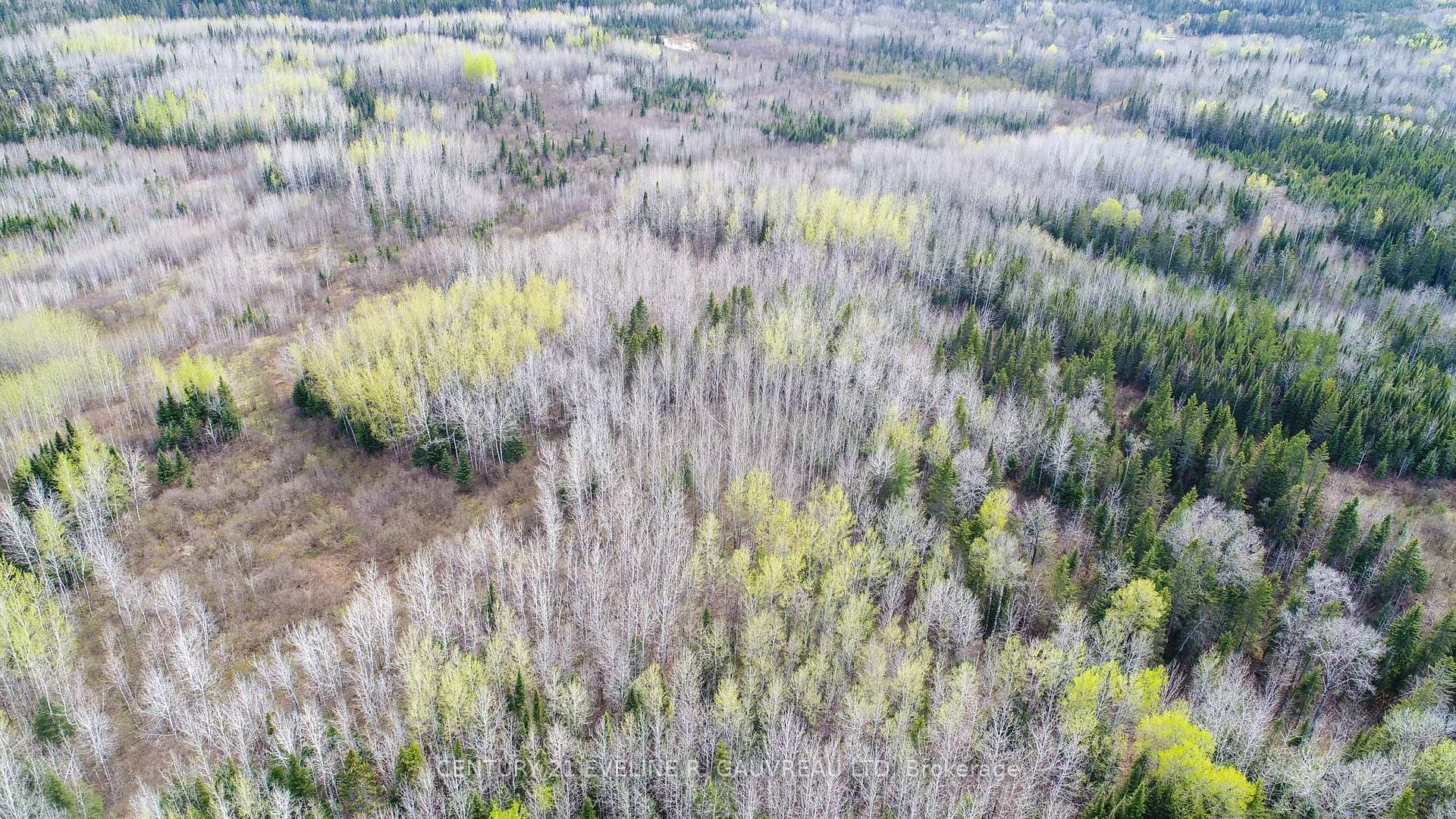Photo 14 of N1/2 LT 9 Con 1, Englehart, Central Timiskaming — HOMEH