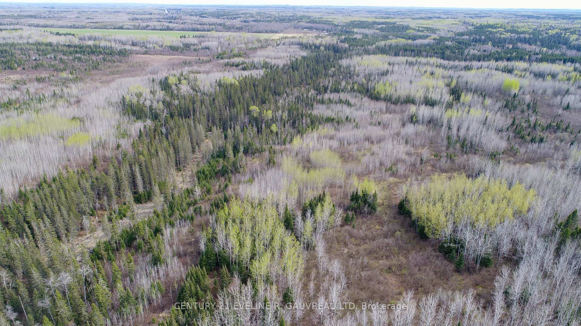 Photo 15 of N1/2 LT 9 Con 1, Englehart, Central Timiskaming — HOMEH