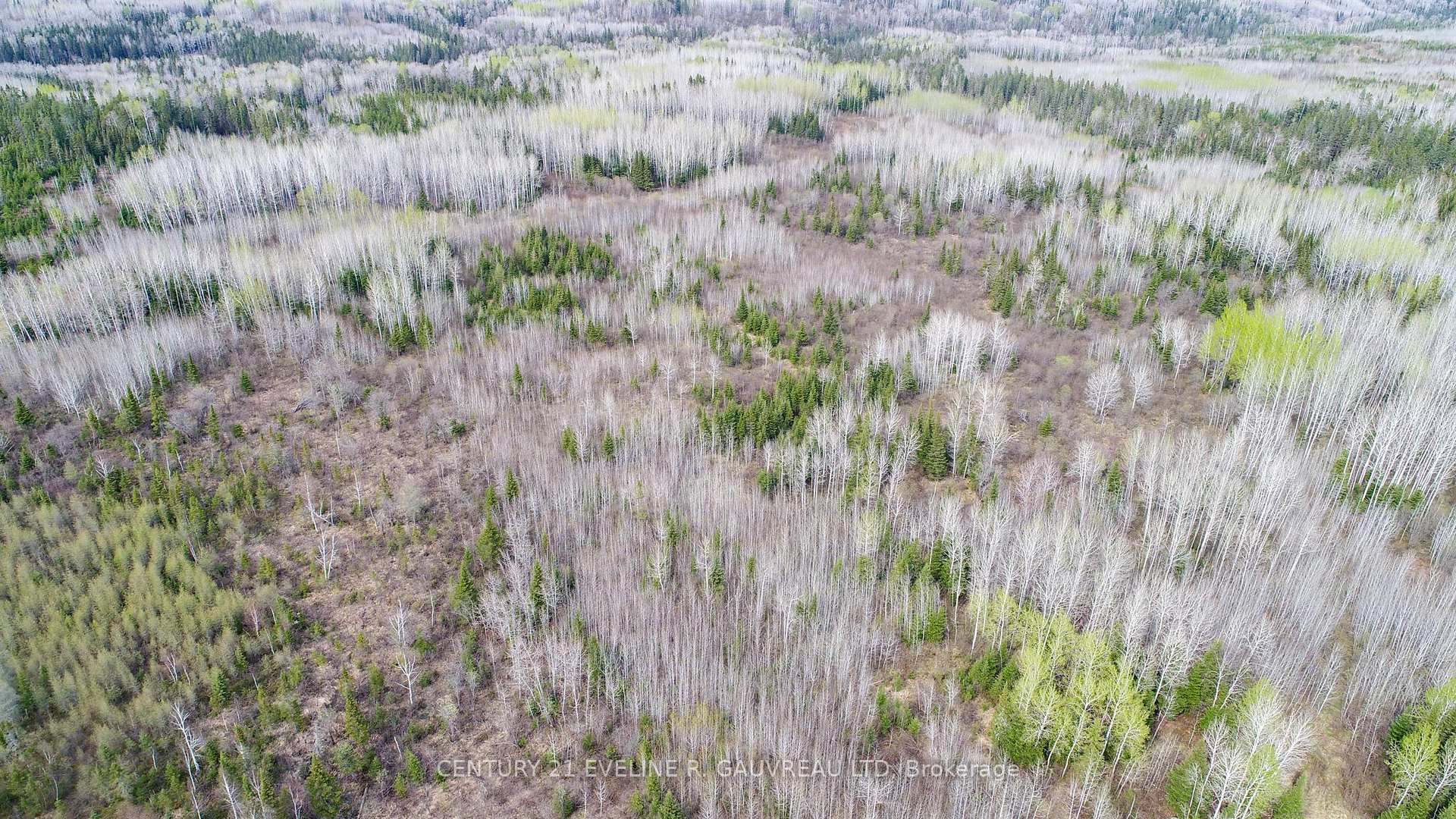 Photo 26 of N1/2 LT 9 Con 1, Englehart, Central Timiskaming — HOMEH