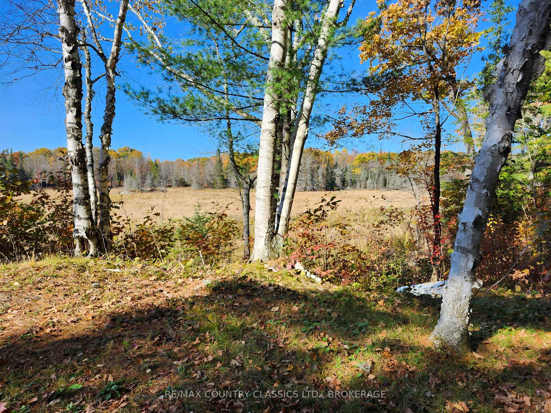 Photo 5 of 1116 Greer Road, North Frontenac, Frontenac North — HOMEH
