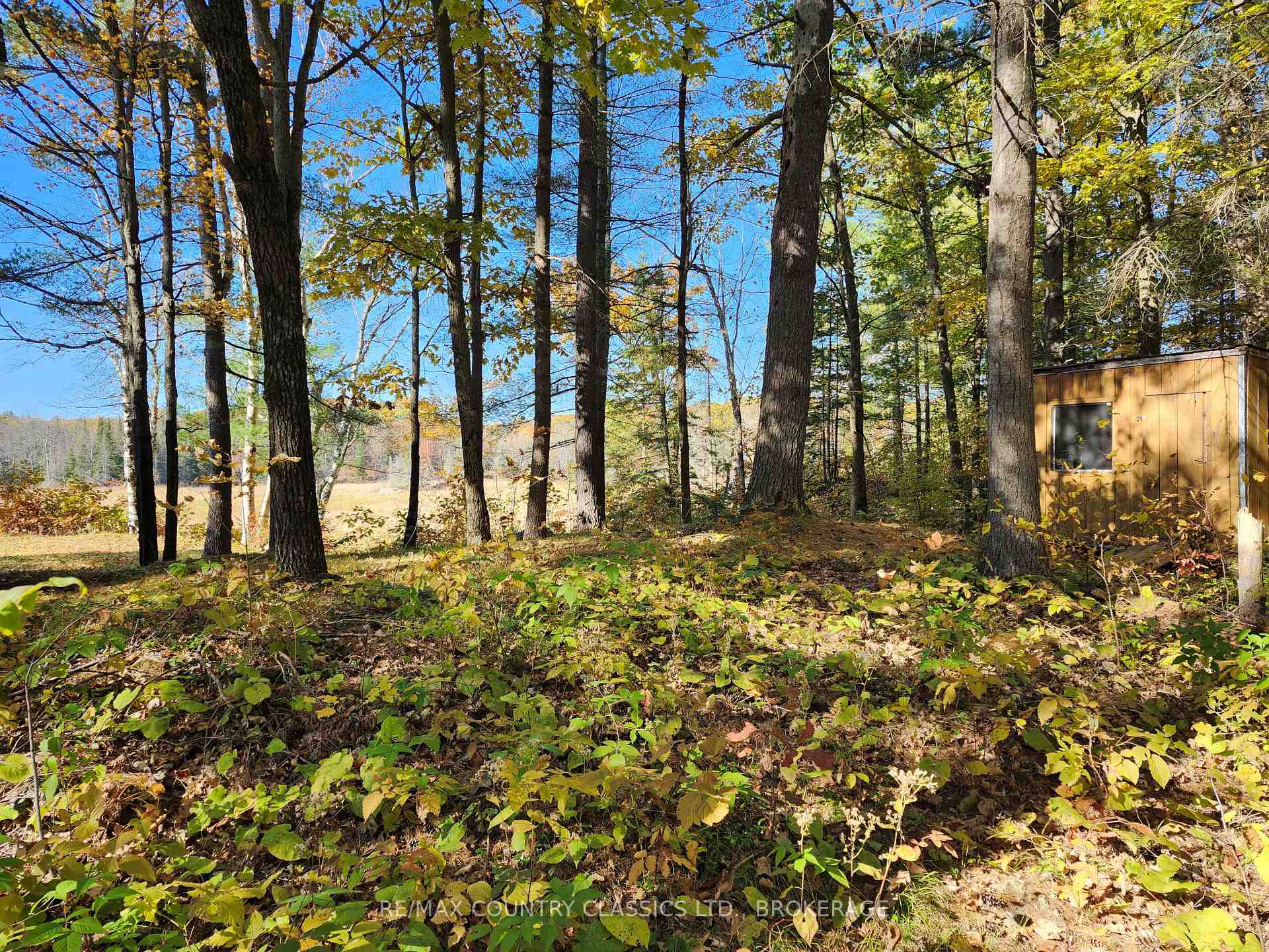 Photo 6 of 1116 Greer Road, North Frontenac, Frontenac North — HOMEH