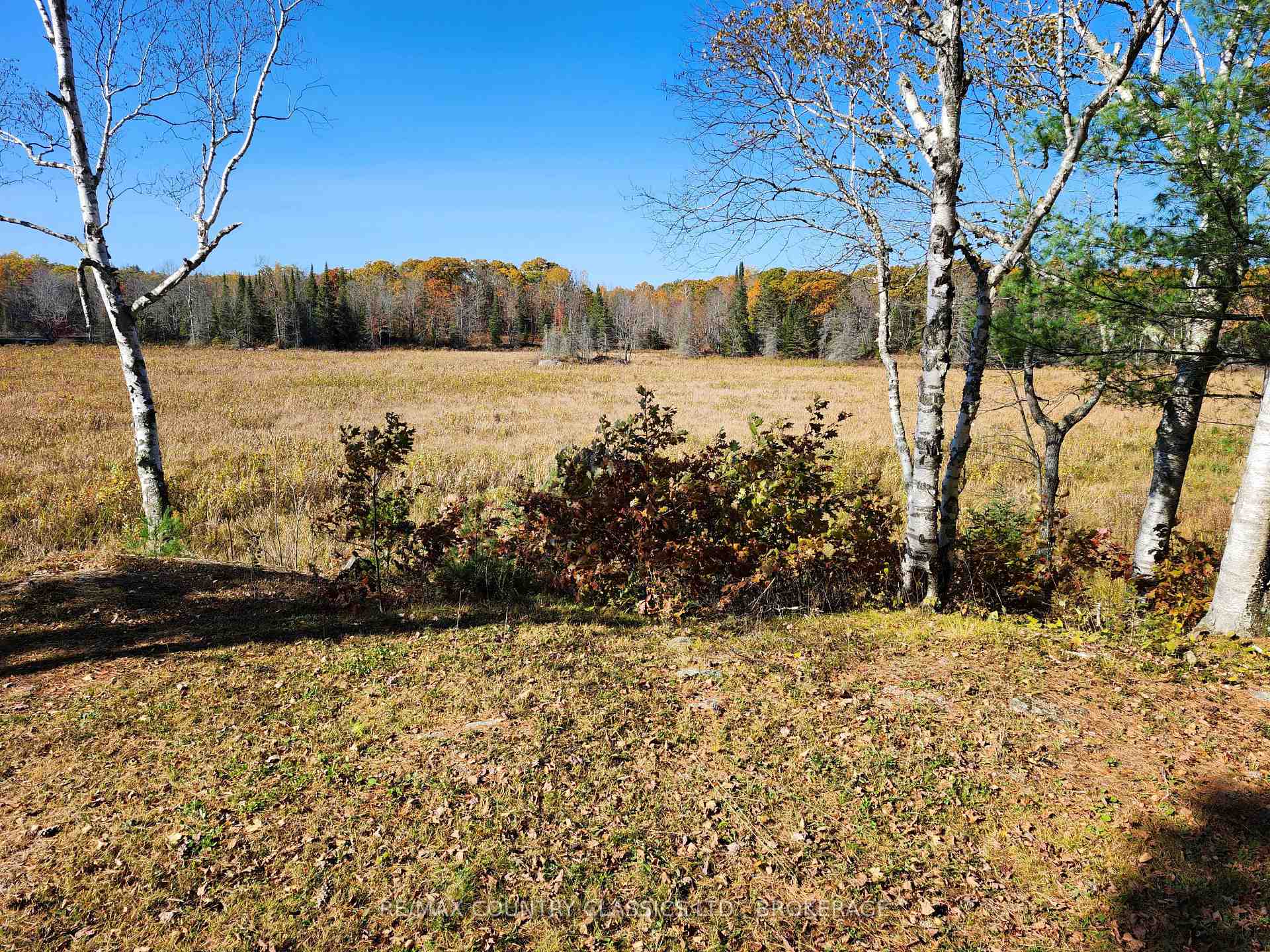 Photo 7 of 1116 Greer Road, North Frontenac, Frontenac North — HOMEH
