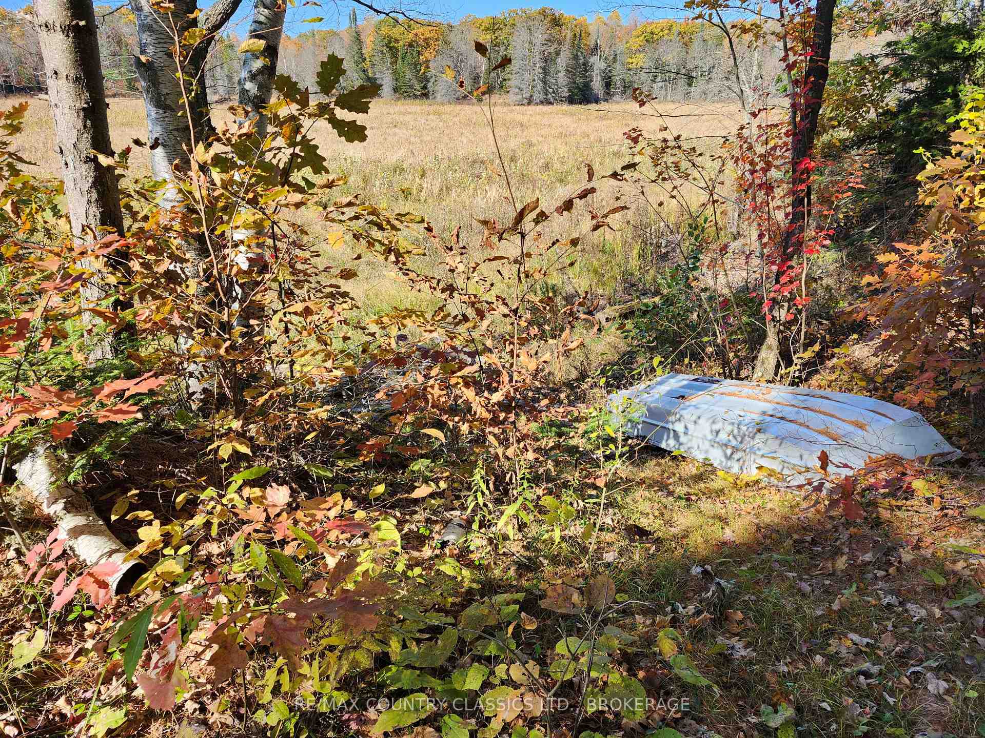 Photo 9 of 1116 Greer Road, North Frontenac, Frontenac North — HOMEH