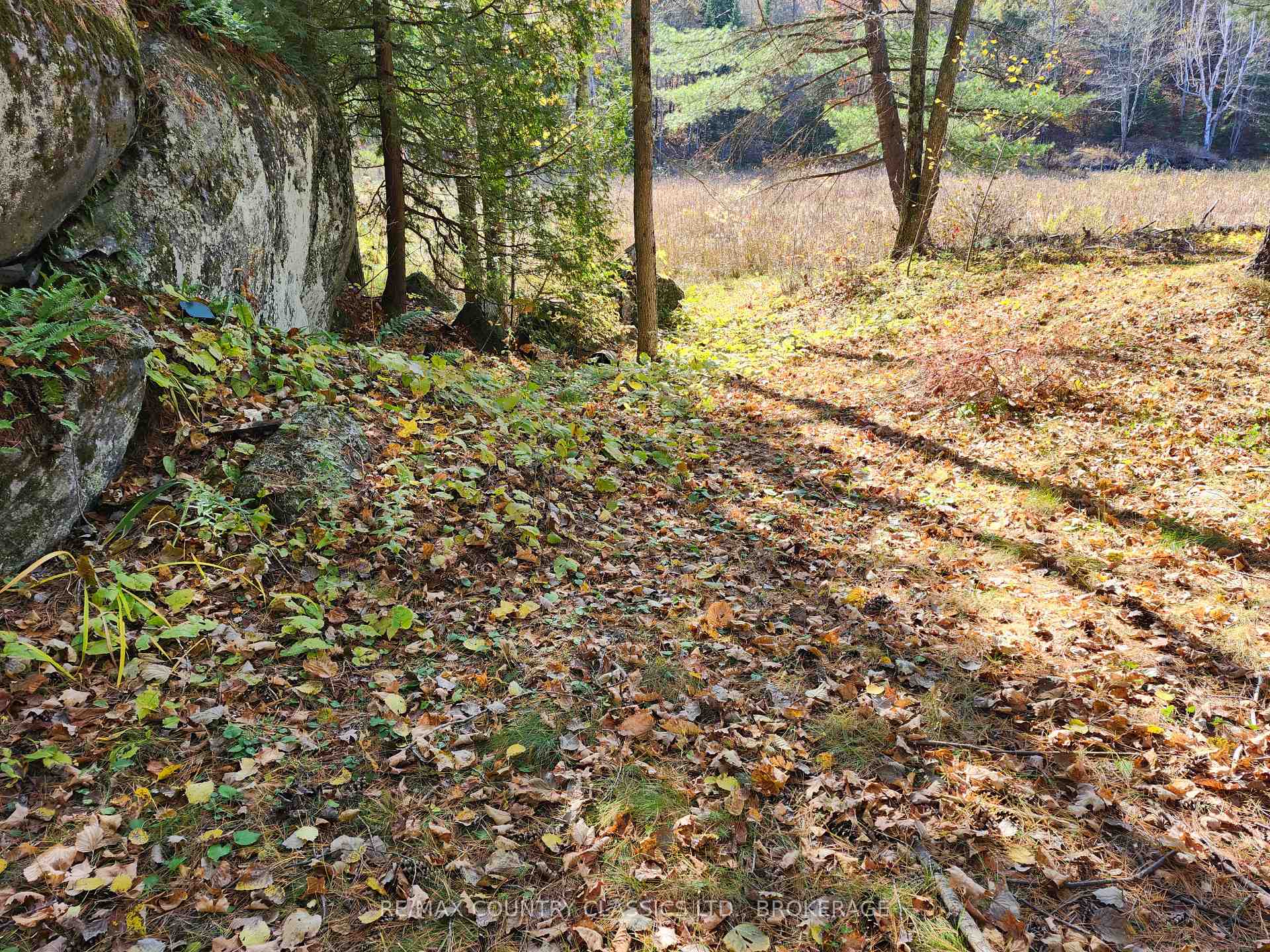 Photo 22 of 1116 Greer Road, North Frontenac, Frontenac North — HOMEH