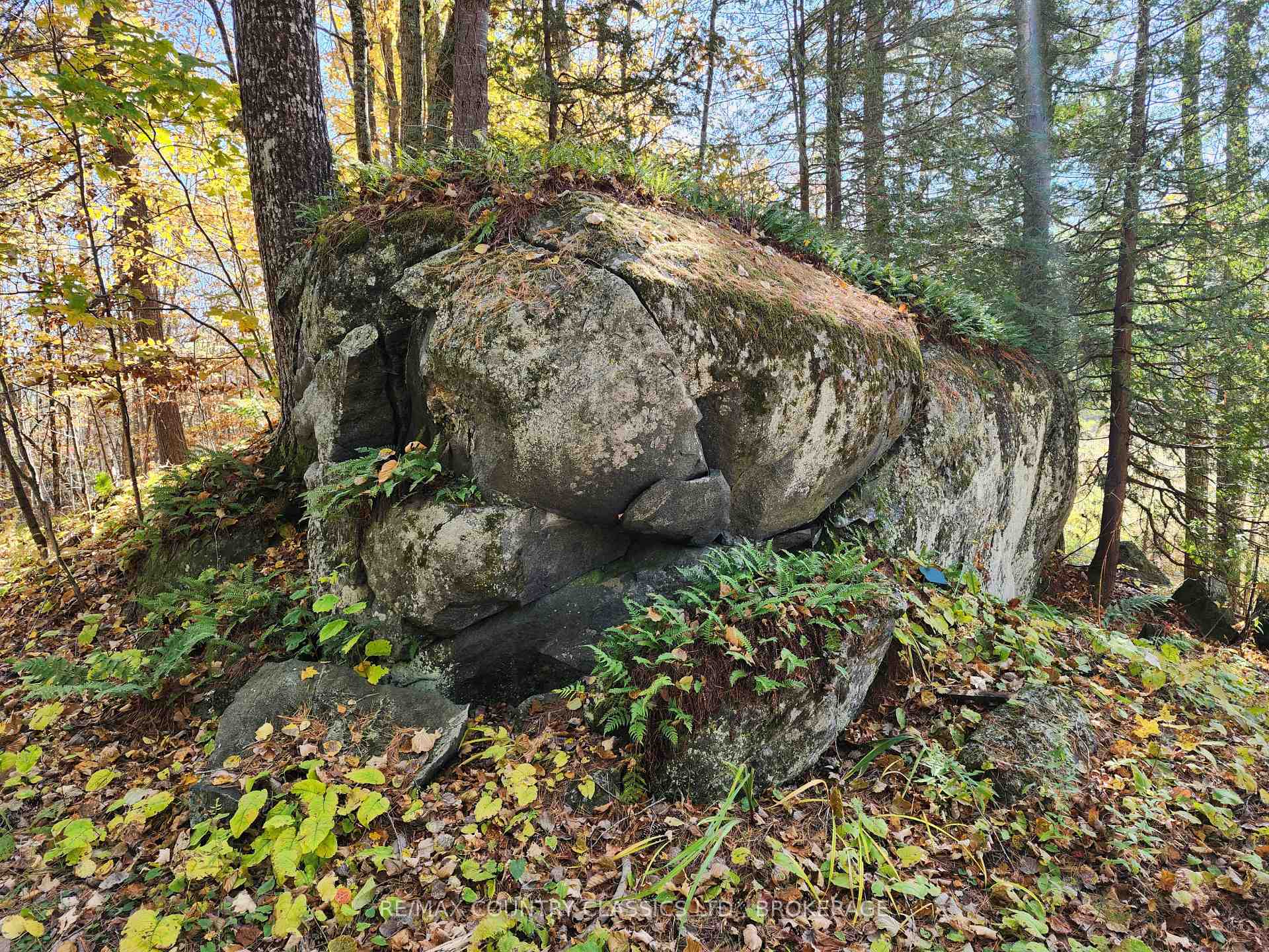 Photo 23 of 1116 Greer Road, North Frontenac, Frontenac North — HOMEH