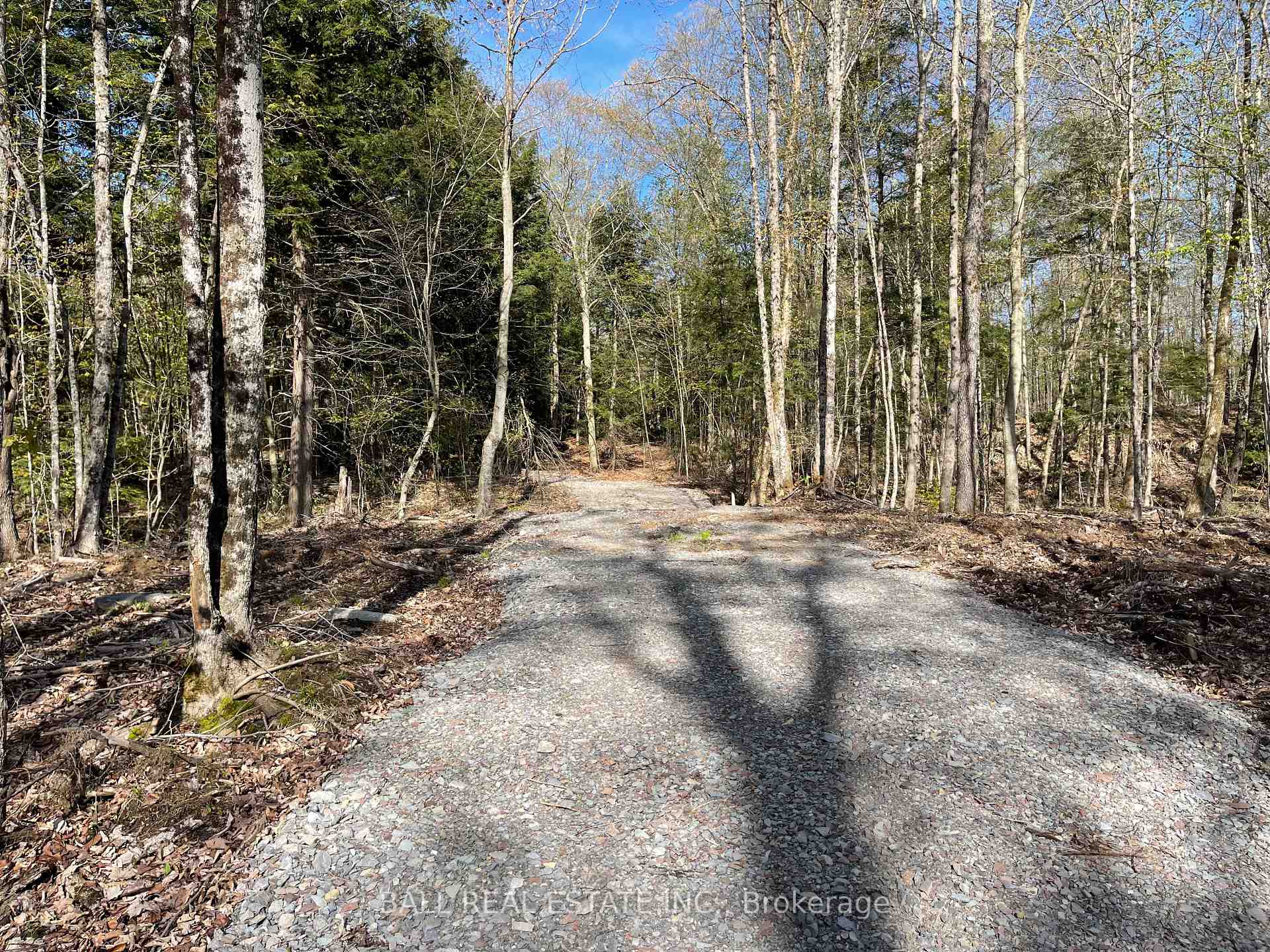 Photo 6 of Part Lt 18-20 Con 13 Road, Faraday — HOMEH