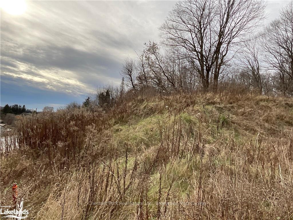 Photo 7 of 67 Ryerson Crescent, Burk's Falls — HOMEH