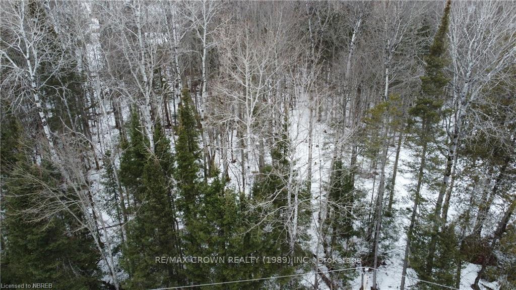 Photo 5 of 14 Riverside Drive, Bonfield — HOMEH