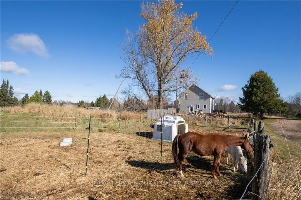 Photo 17 of 537 Farmers Line, Bonfield — HOMEH