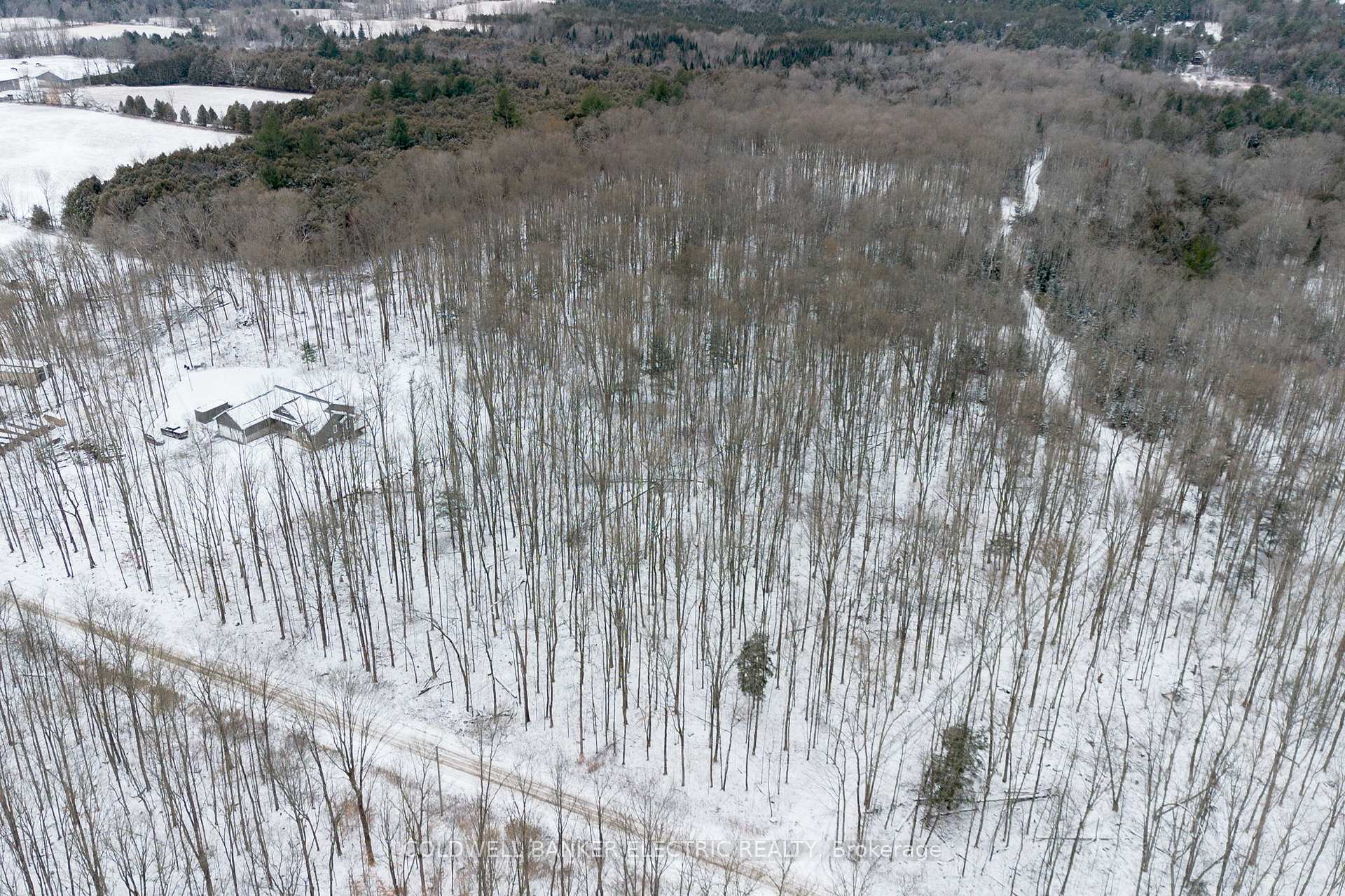 Photo 3 of S Dummer 4th Line Rd, Douro-Dummer — HOMEH