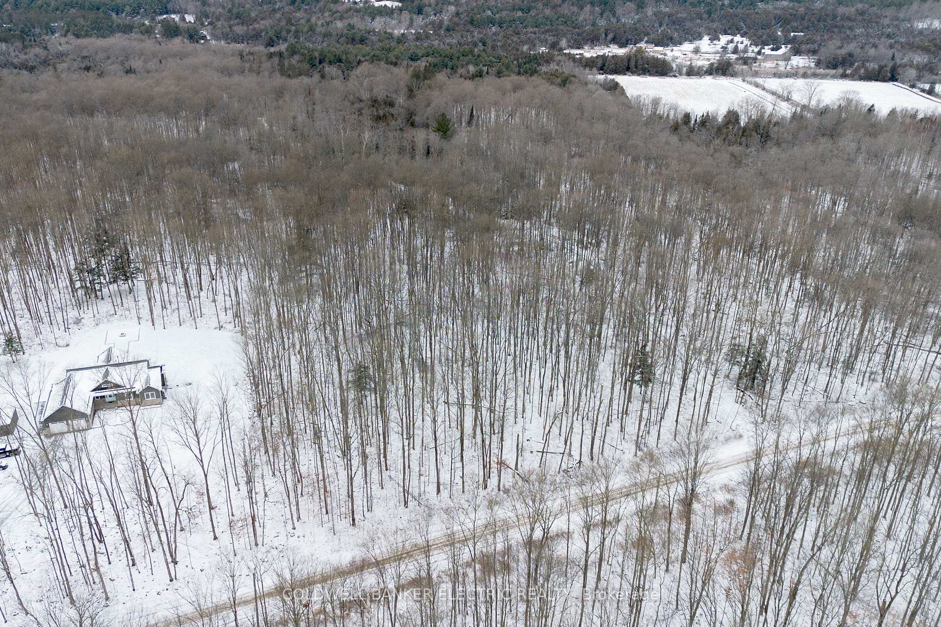 Photo 4 of S Dummer 4th Line Rd, Douro-Dummer — HOMEH