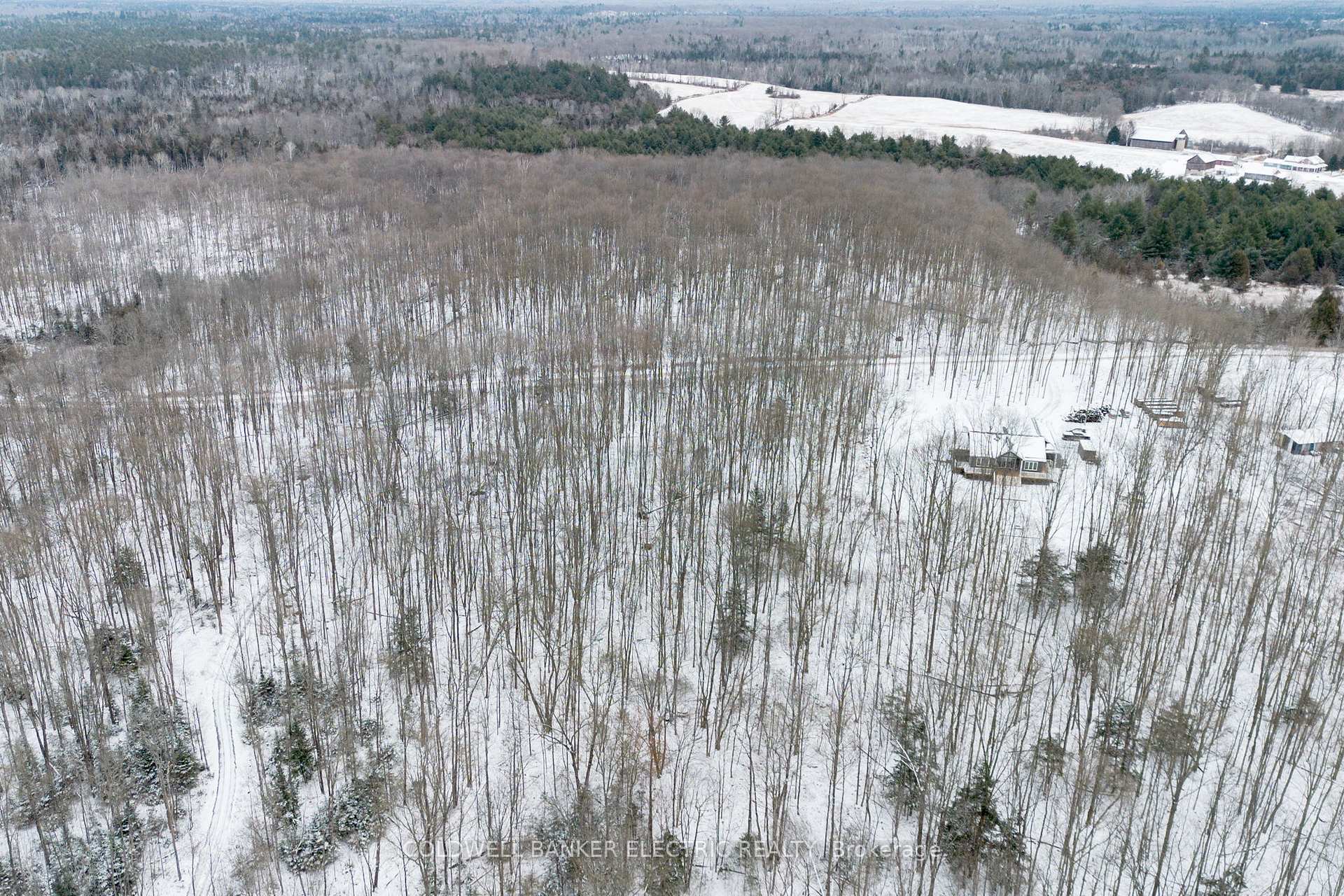 Photo 5 of S Dummer 4th Line Rd, Douro-Dummer — HOMEH