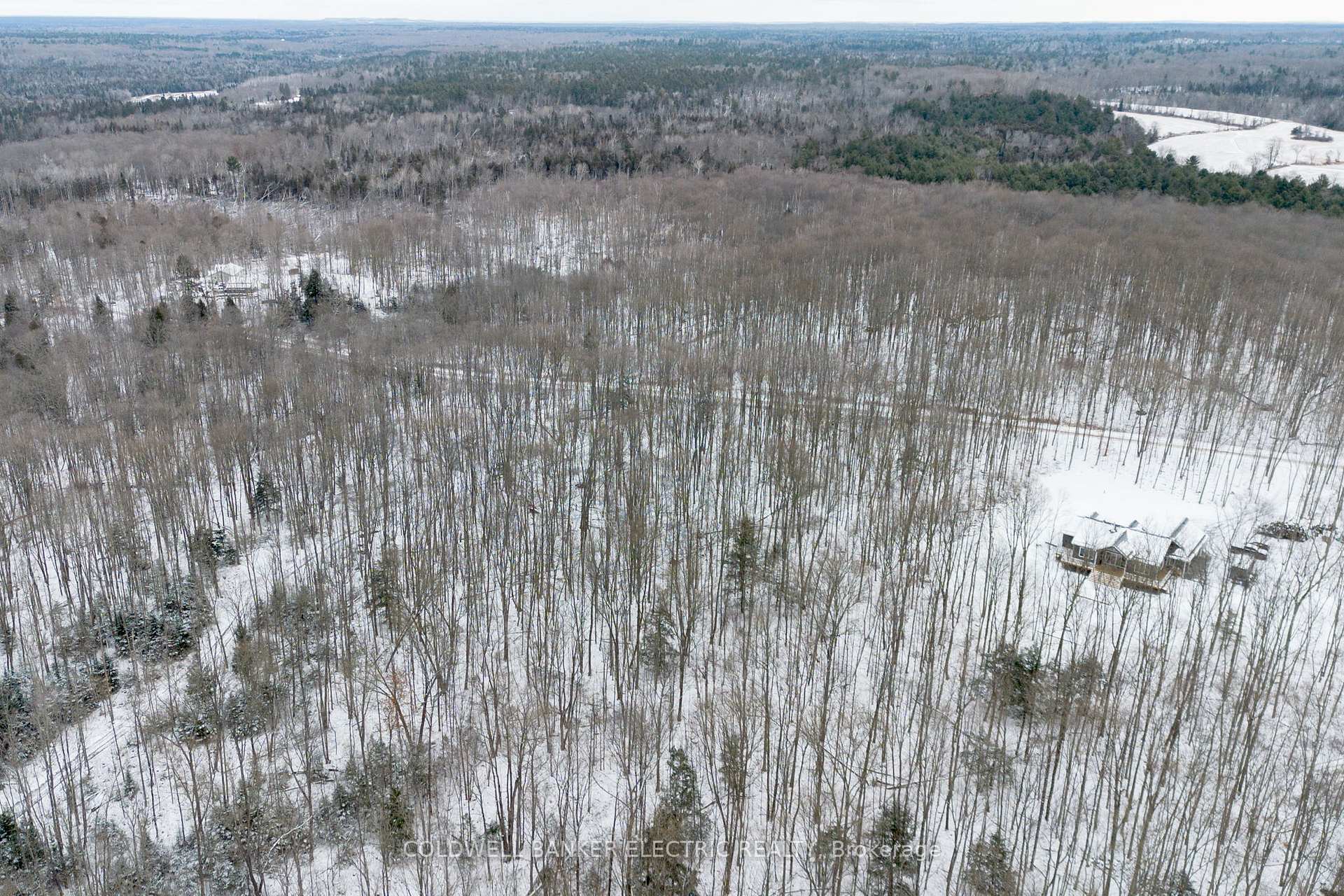 Photo 6 of S Dummer 4th Line Rd, Douro-Dummer — HOMEH
