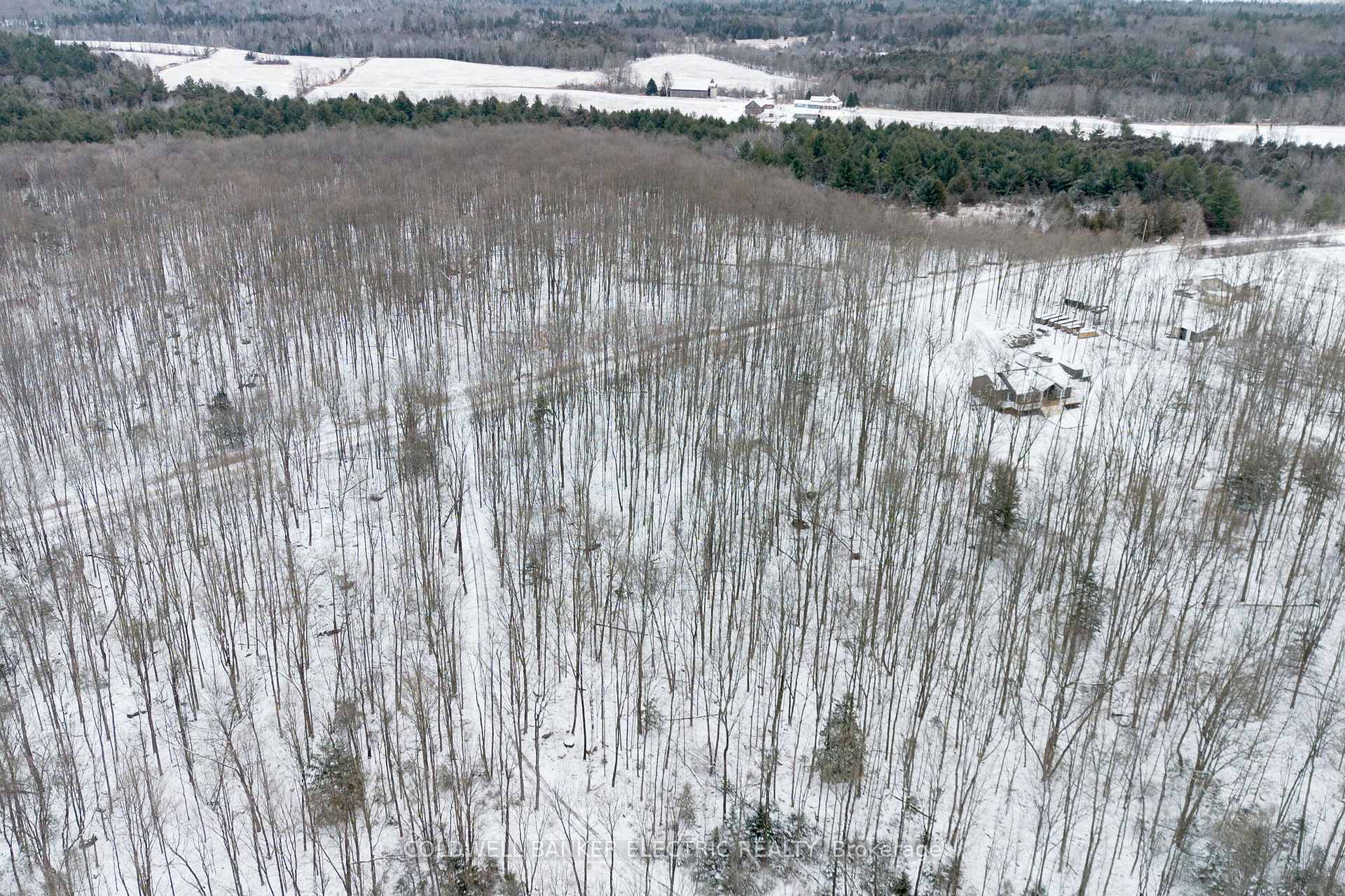 Photo 7 of S Dummer 4th Line Rd, Douro-Dummer — HOMEH