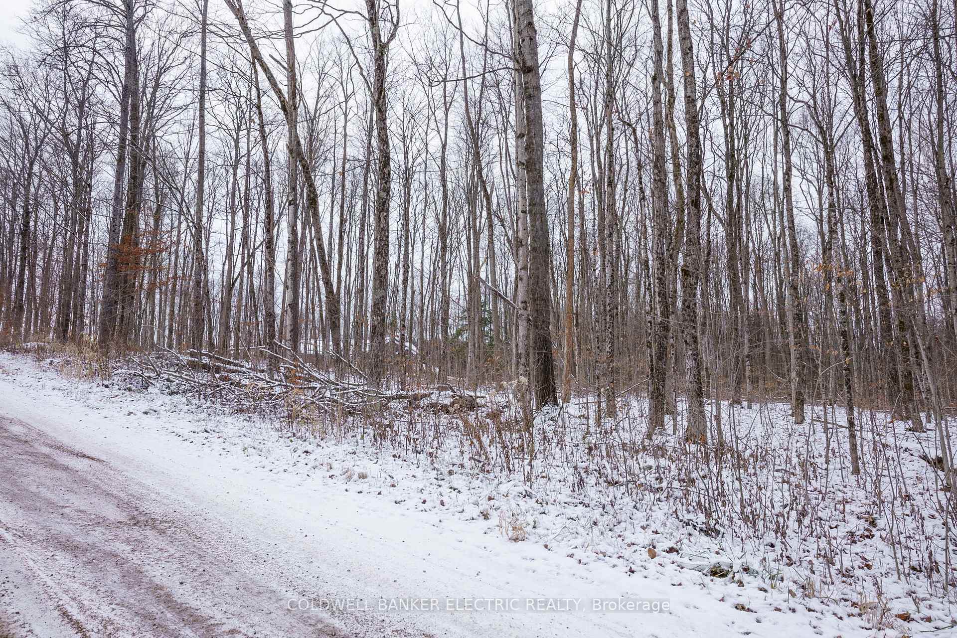Photo 10 of S Dummer 4th Line Rd, Douro-Dummer — HOMEH