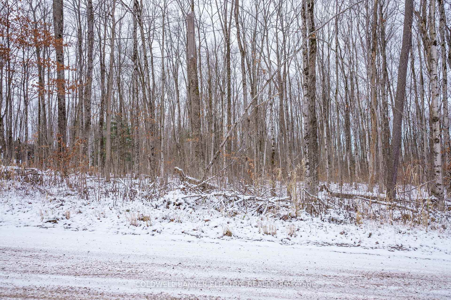 Photo 11 of S Dummer 4th Line Rd, Douro-Dummer — HOMEH