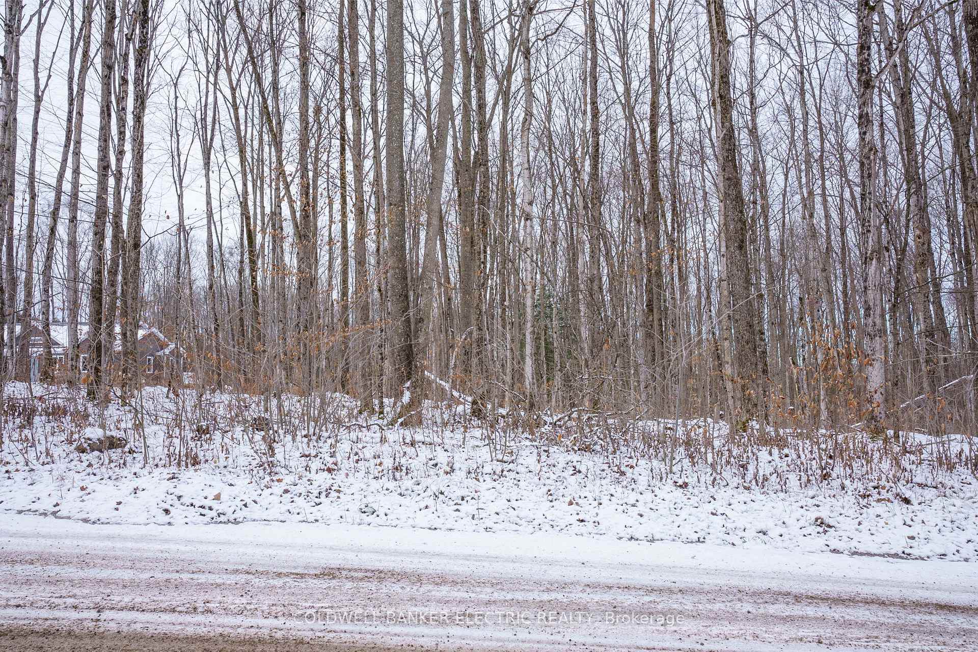 Photo 12 of S Dummer 4th Line Rd, Douro-Dummer — HOMEH