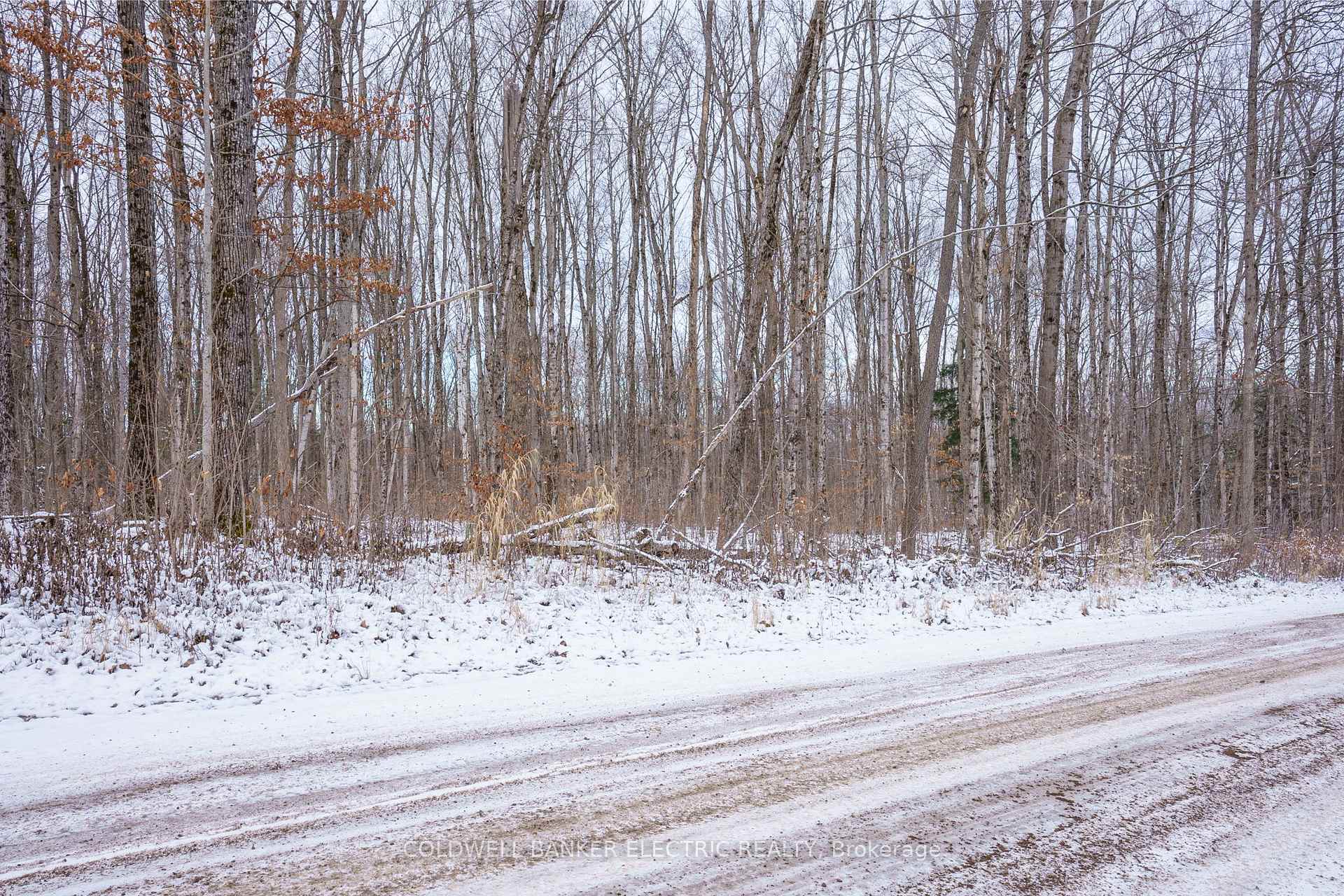 Photo 13 of S Dummer 4th Line Rd, Douro-Dummer — HOMEH