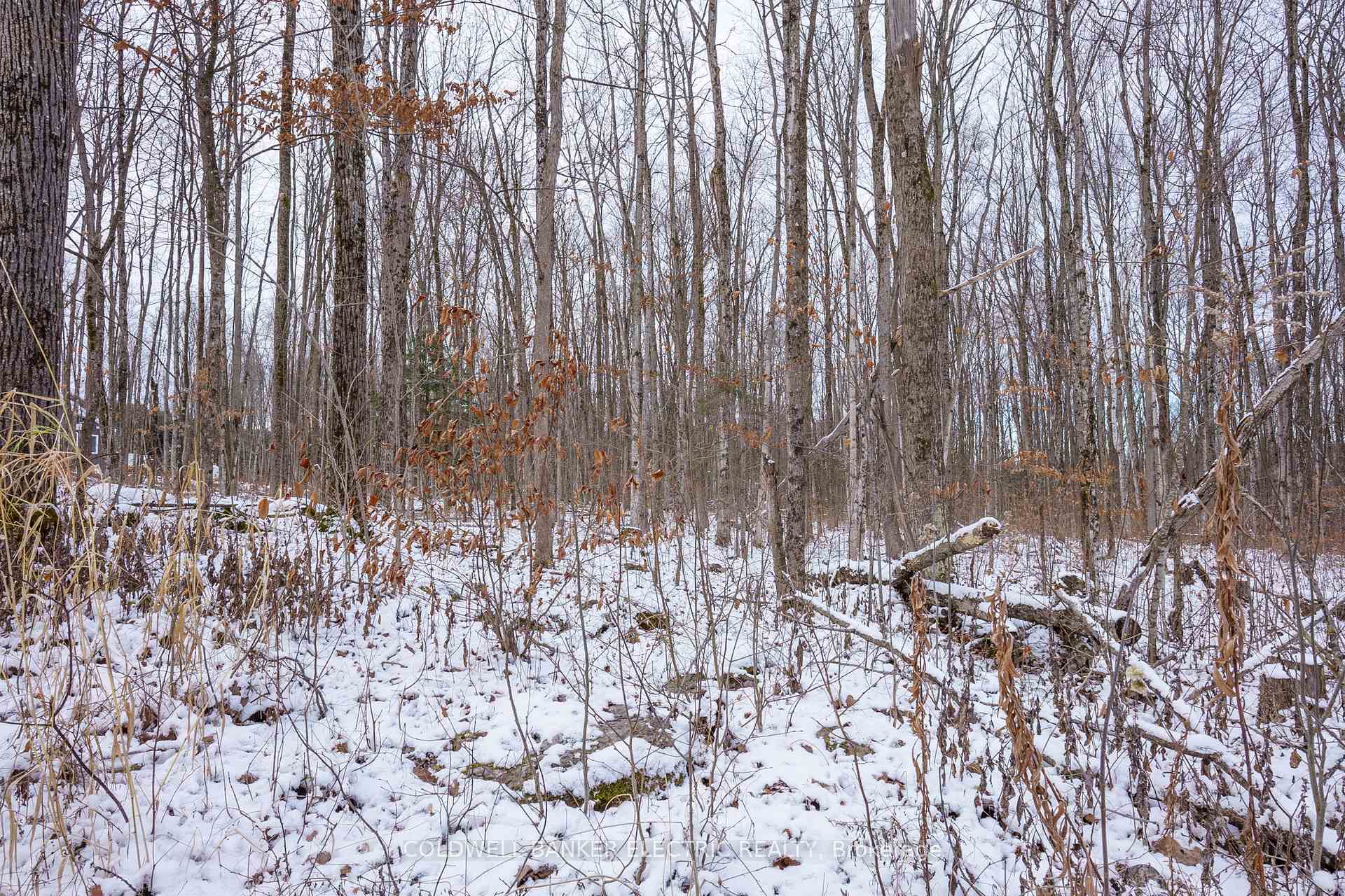 Photo 14 of S Dummer 4th Line Rd, Douro-Dummer — HOMEH